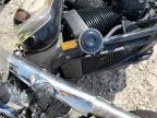2024 Honda Vt750 C იყიდება Corpus Christi-ში, TX - Front End
