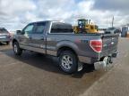 2014 Ford F150 Supercrew for Sale in Ham Lake, MN - Rear End