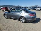 2011 Honda Accord Exl for Sale in Helena, MT - Minor Dent/Scratches