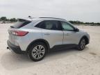 2021 Ford Escape Sel zu verkaufen in New Braunfels, TX - Front End