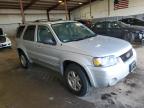 2007 Ford Escape Limited for Sale in Pennsburg, PA - Rear End