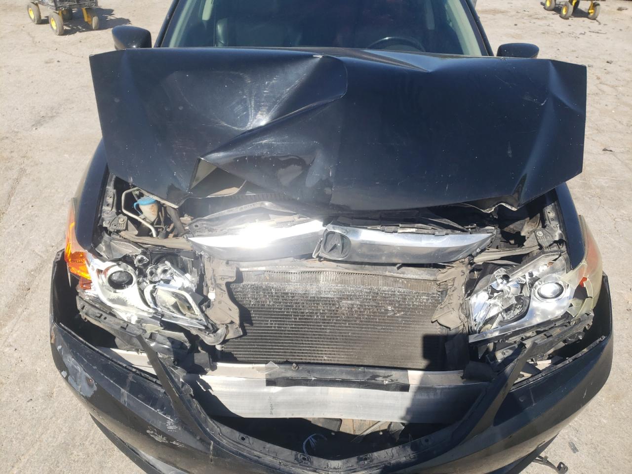 2014 Acura Ilx 20 VIN: 19VDE1F31EE007864 Lot: 54105435