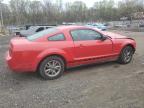 2005 Ford Mustang  na sprzedaż w Baltimore, MD - Front End