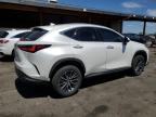 2024 Lexus Nx 350H Base zu verkaufen in Denver, CO - Front End