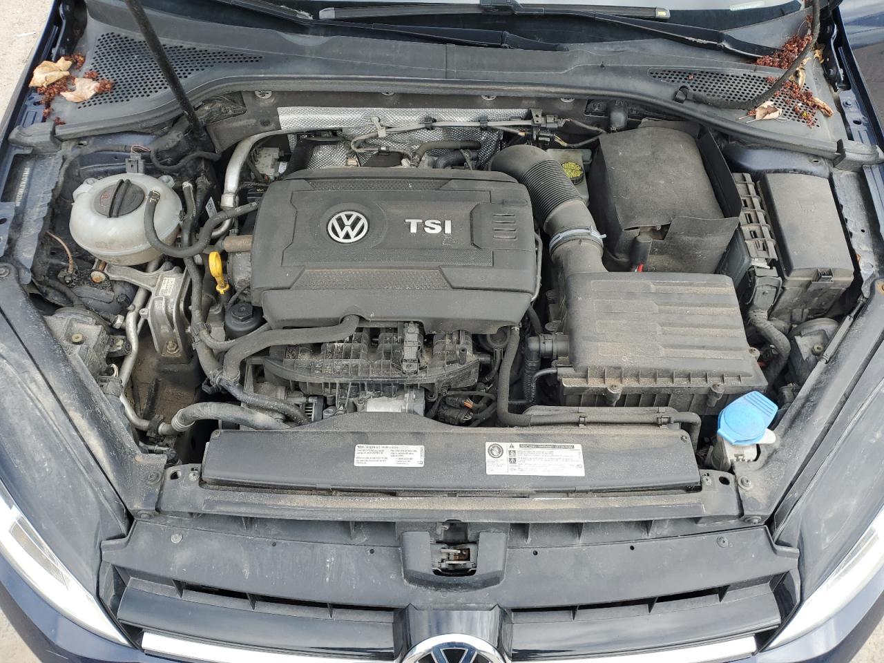 2017 Volkswagen Golf S VIN: 3VW217AU7HM023488 Lot: 54920545