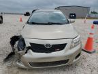2009 Toyota Corolla Base zu verkaufen in Temple, TX - Front End