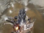 Avon, MN에서 판매 중인 2008 Harley-Davidson Xl1200 C - Rear End