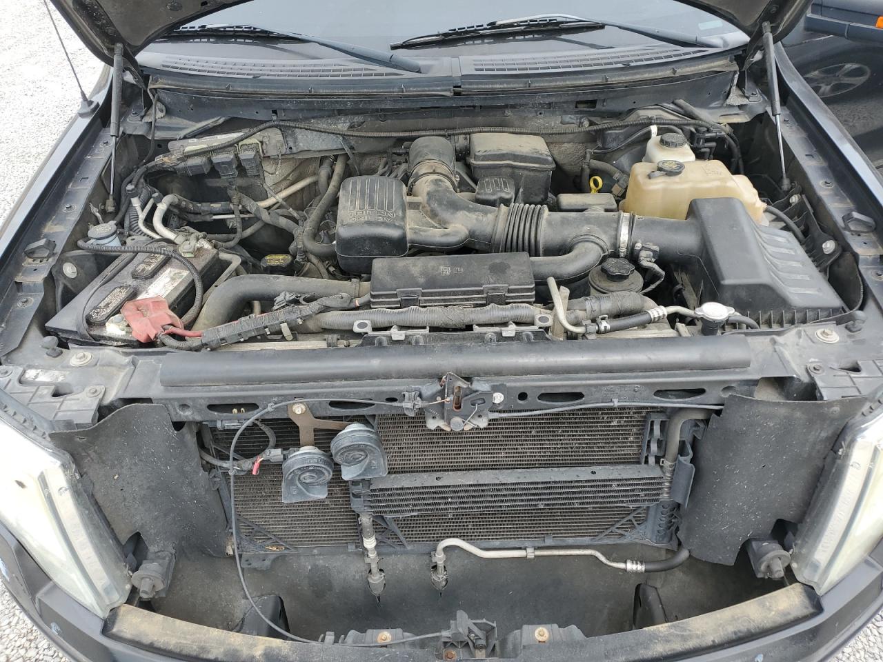 1FTFW1EV2AFD50506 2010 Ford F150 Supercrew