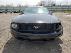 2007 Ford Mustang  for Sale in Leroy, NY - Front End