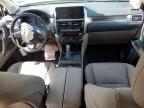 2023 Lexus Gx 460 for Sale in Wilmer, TX - Front End