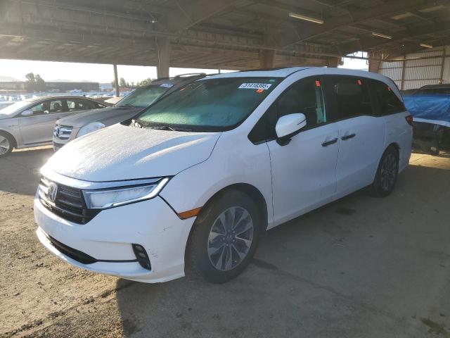 2024 Honda Odyssey Exl