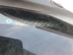 2013 Honda Odyssey Ex للبيع في Earlington، KY - Hail