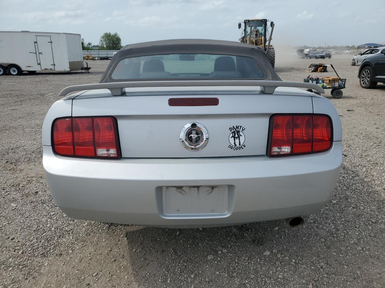 2006 Ford Mustang VIN: 1ZVFT84N965206335 Lot: 53689805
