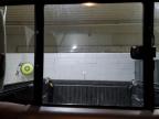 2009 Toyota Tacoma Access Cab იყიდება Candia-ში, NH - Mechanical