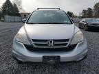 2011 Honda Cr-V Se for Sale in Albany, NY - Rear End
