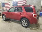 2012 Ford Escape Limited for Sale in Columbia, MO - Front End