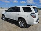 2024 Toyota 4Runner Sr5 на продаже в Homestead, FL - Minor Dent/Scratches