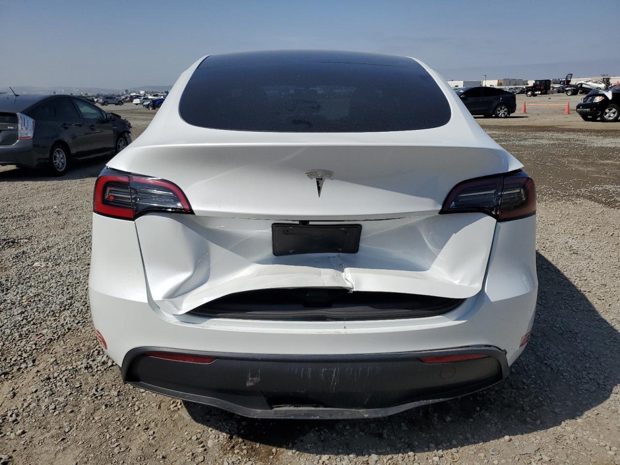 2024 Tesla Model Y VIN: 7SAYGDED8RF105176 Lot: 54306155