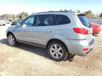 2007 Hyundai Santa Fe Se en Venta en Elgin, IL - Rear End