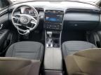 2024 Hyundai Santa Cruz Sel zu verkaufen in San Antonio, TX - Rear End