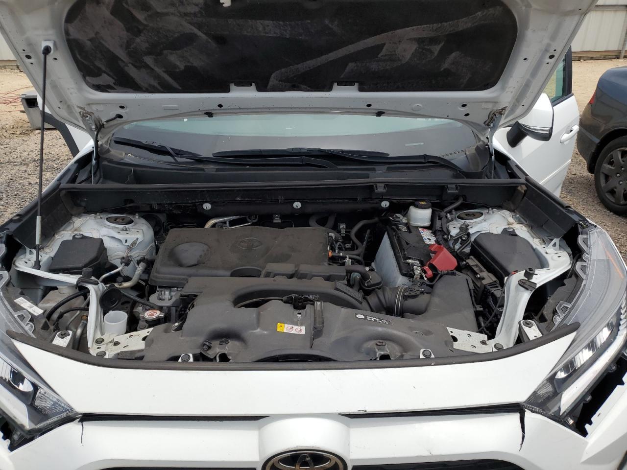 2021 Toyota Rav4 Xle VIN: 2T3W1RFV5MW166322 Lot: 54864795