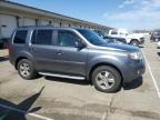 2010 Honda Pilot Exl na sprzedaż w Louisville, KY - Rear End