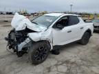 2024 Hyundai Santa Cruz Sel zu verkaufen in Indianapolis, IN - Front End
