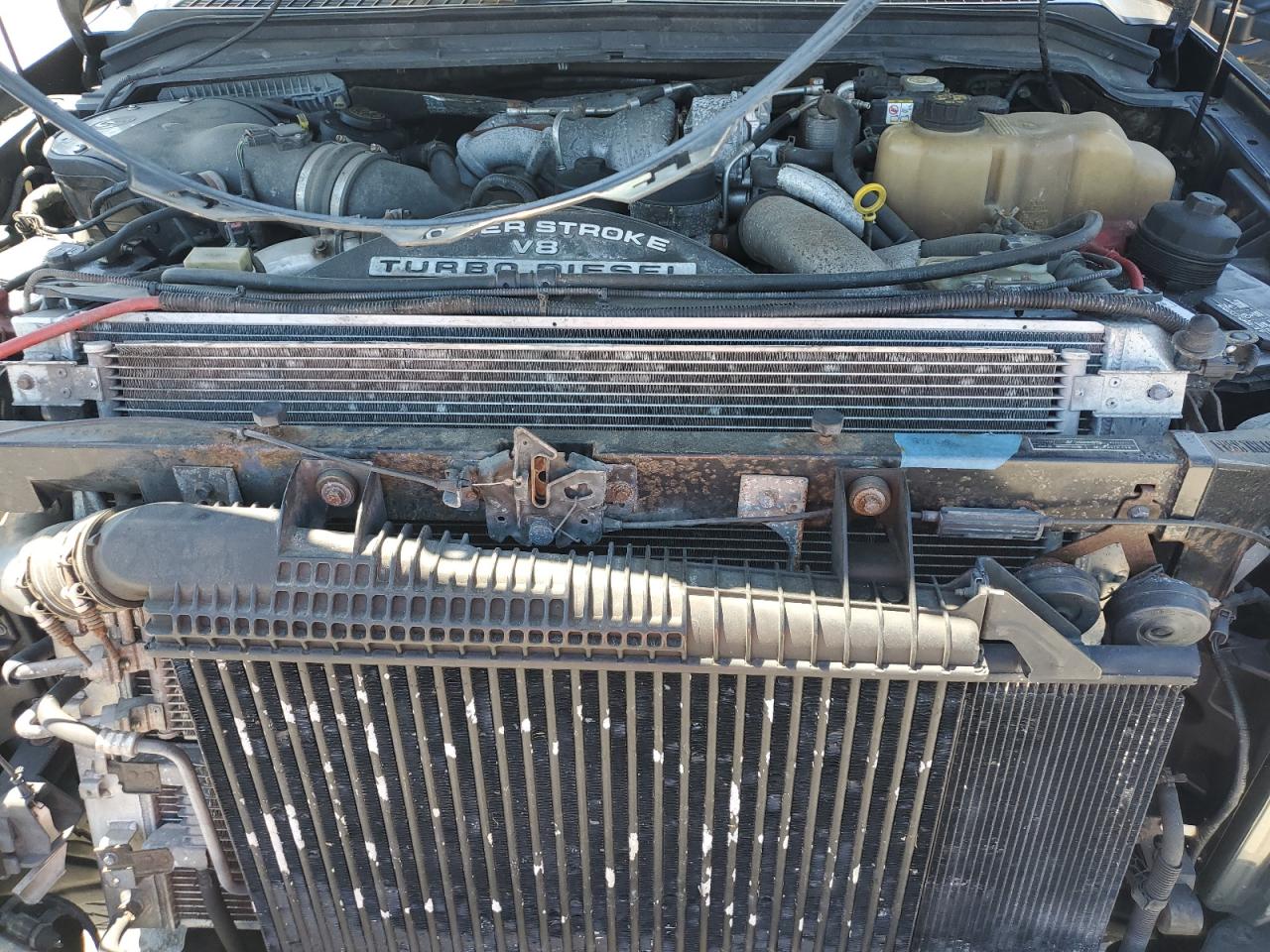 2009 Ford F-250 at FL - Orlando, Copart lot 53603895 2009 Ford F-250 at FL - Orlando, Copart lot 53603895