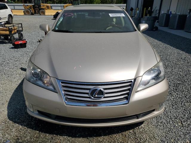  LEXUS ES350 2012 Цвет загара