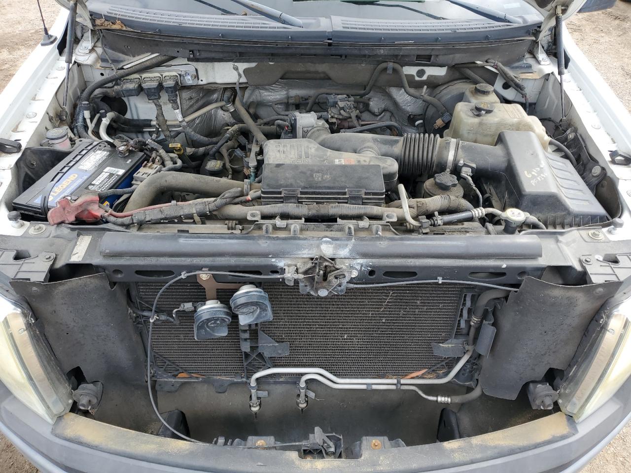 2010 Ford F150 VIN: 1FTMF1CW5AKB10960 Lot: 50548935