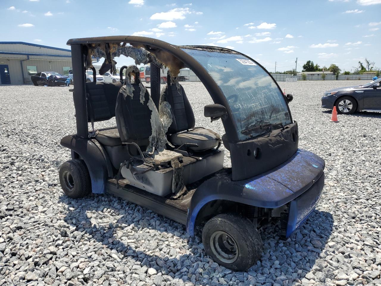 2002 Ford Think Neighbor for Sale in Arcadia, FL - Burn