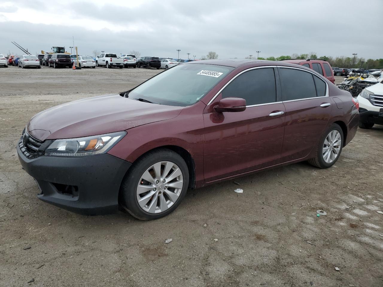 2014 Honda Accord Exl იყიდება Indianapolis-ში, IN - Front End