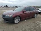 Indianapolis, IN에서 판매 중인 2014 Honda Accord Exl - Front End