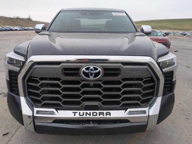 TOYOTA TUNDRA 2024 Синий