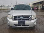 2009 Ford Escape Xlt იყიდება Dyer-ში, IN - Side