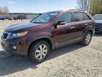 2012 Kia Sorento Base for Sale in Arlington, WA - Minor Dent/Scratches