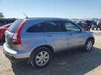 2009 Honda Cr-V Exl за продажба в Jacksonville, FL - Side