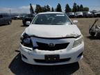 2009 Toyota Corolla Base for Sale in American Canyon, CA - Front End