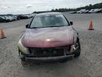 2009 Honda Accord Exl zu verkaufen in Lumberton, NC - Front End