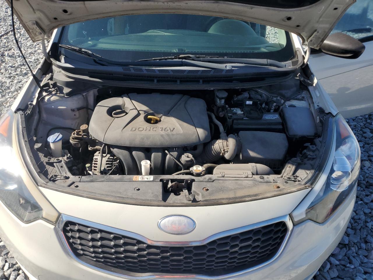 2014 Kia Forte Lx VIN: KNAFK4A66E5061312 Lot: 52224165