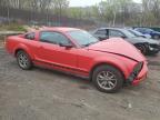 2005 Ford Mustang  na sprzedaż w Baltimore, MD - Front End