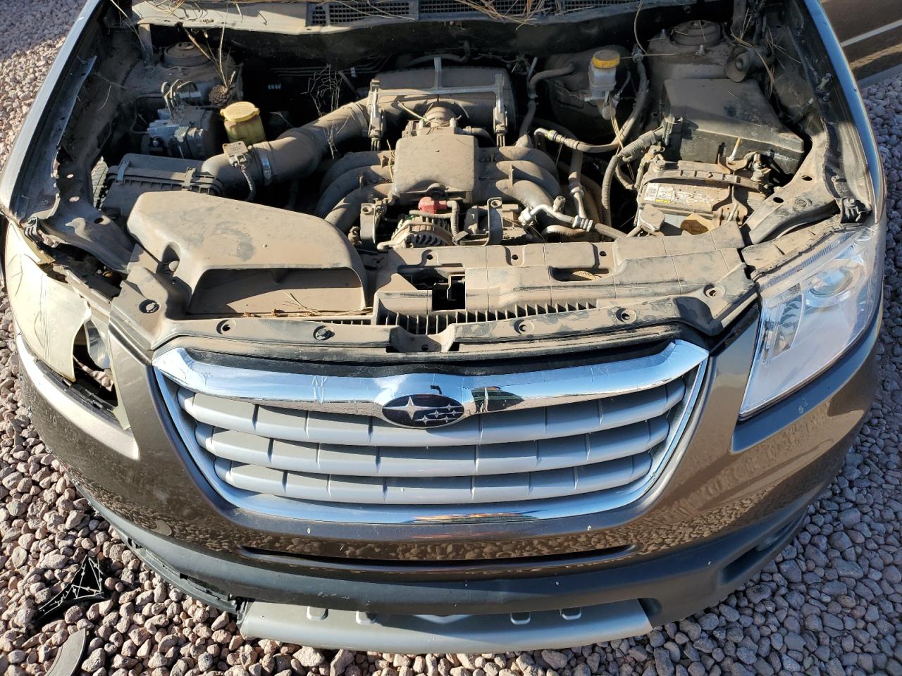 2008 Subaru Tribeca Limited VIN: 4S4WX92D384406204 Lot: 52808405
