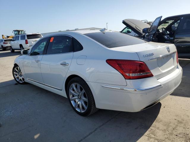  HYUNDAI EQUUS 2013 Biały