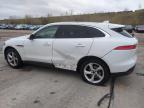 2019 Jaguar F-Pace  for Sale in Littleton, CO - Rear End