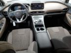 2022 Hyundai Santa Fe Blue продається в San Antonio, TX - Hail