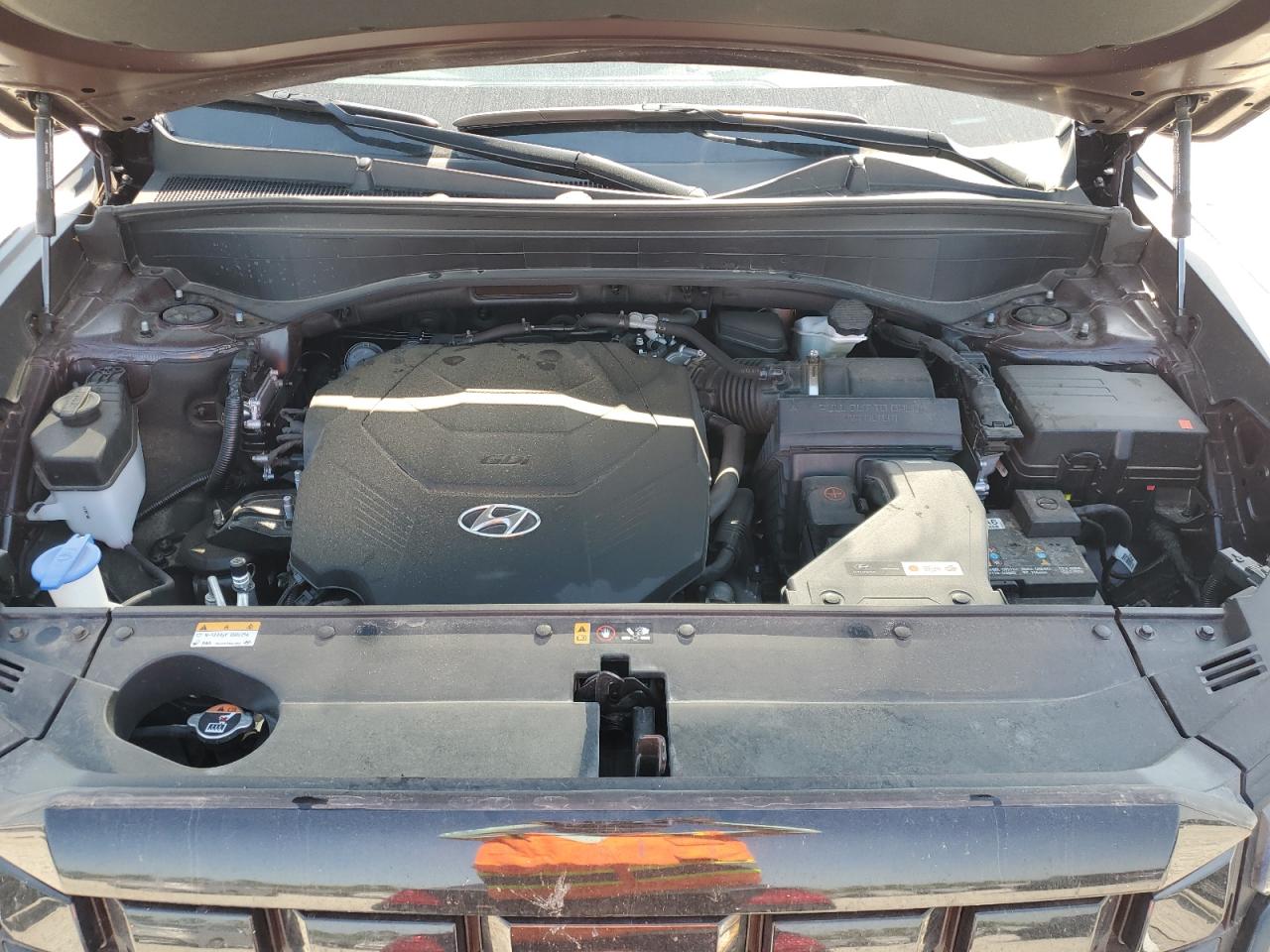 2024 Hyundai Palisade Sel VIN: KM8R24GE5RU780167 Lot: 52803215