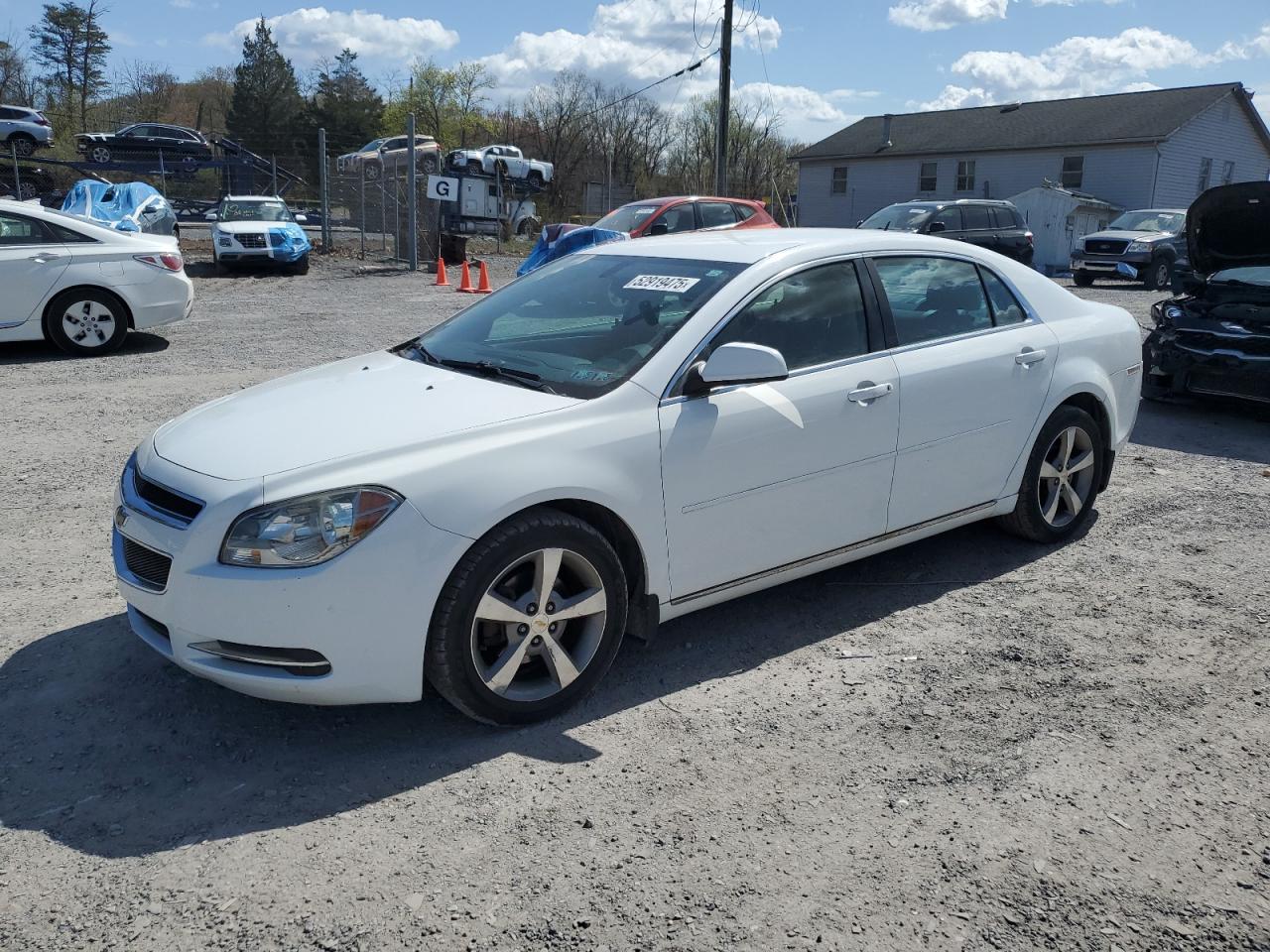 2011 Chevrolet Malibu 1Lt იყიდება York Haven-ში, PA - Minor Dent/Scratches