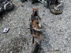 2023 Honda Grom 125 zu verkaufen in Madisonville, TN - Burn