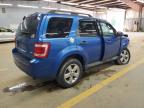 2011 Ford Escape Xlt للبيع في Mocksville، NC - Front End