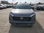 2025 Honda Cr-V Ex for Sale in Los Angeles, CA - Side